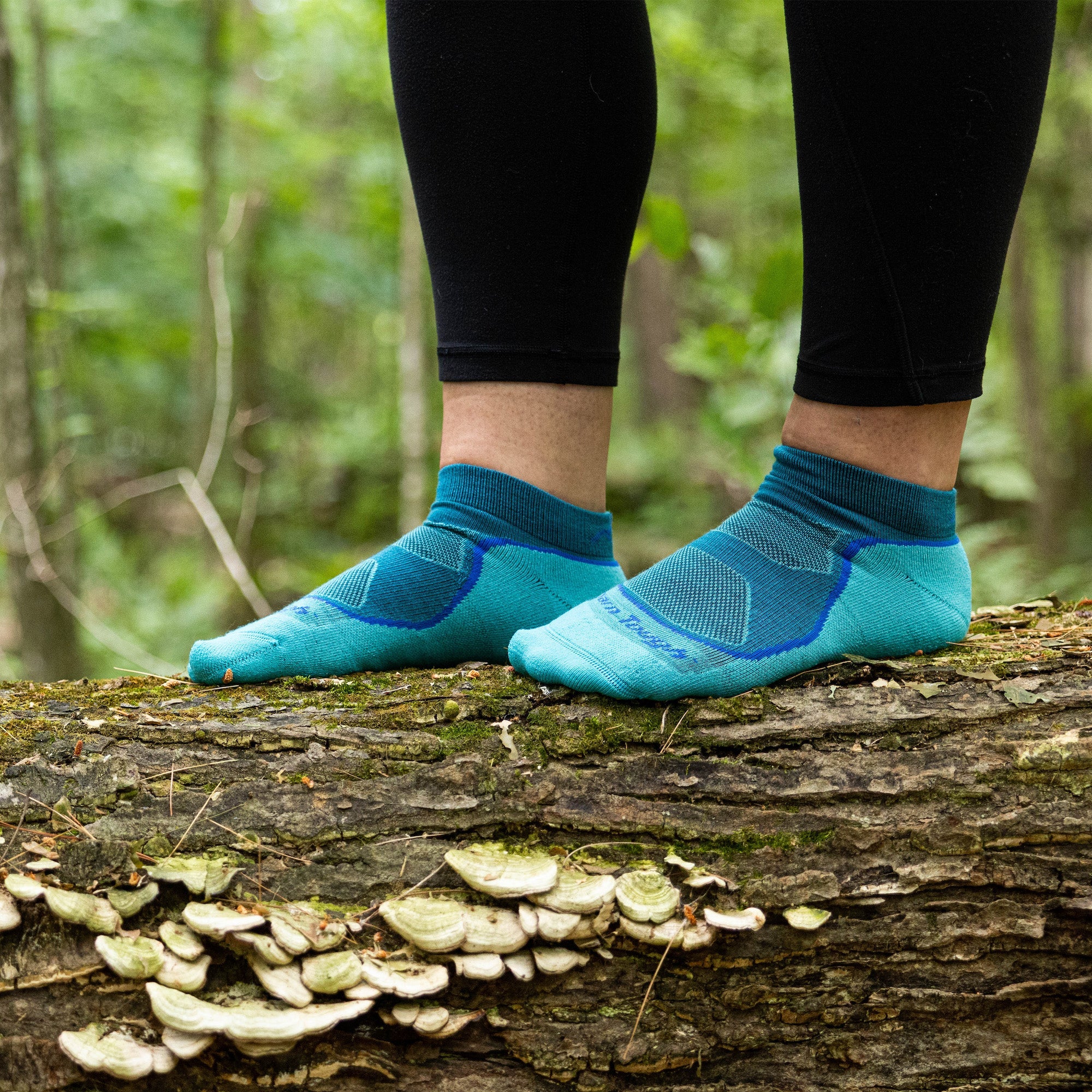 Darn Tough Merino Wool Women's Hiker Low-Profile 3-Pack - Image 7
