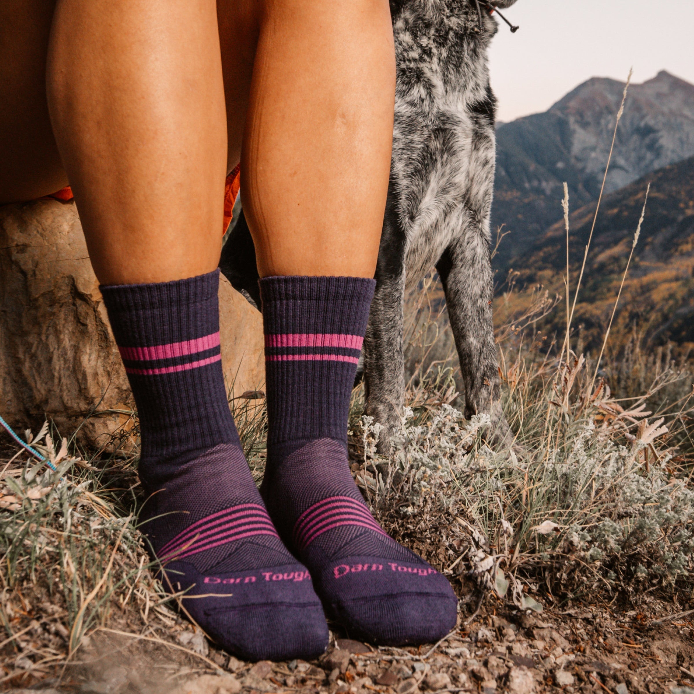 Darn Tough Merino Wool Women's Element Micro Crew Lightweight Running Socks - Image 2