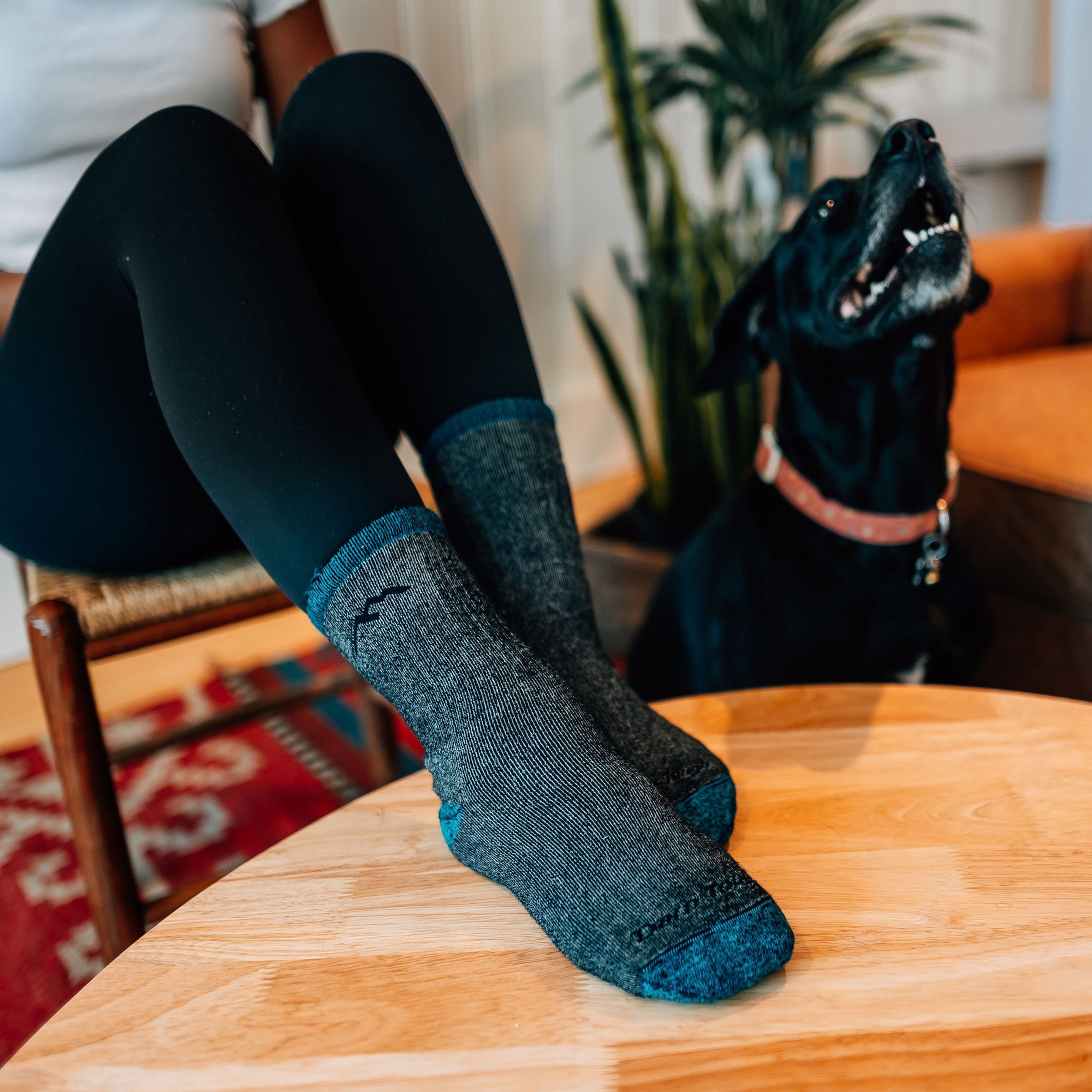 Darn Tough Merino Wool Women's Mountaineering Micro Crew Heavyweight Hiking Socks - Last Chance - Image 4