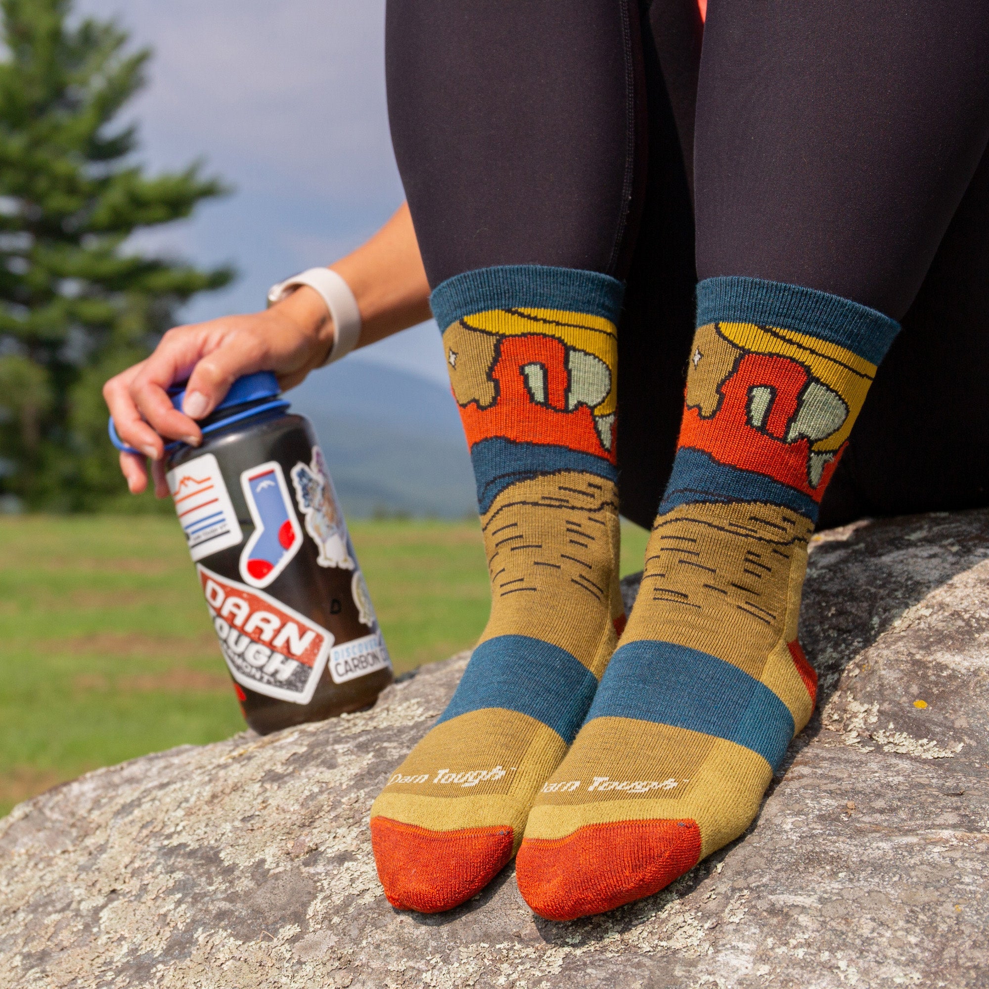 Darn Tough Merino Wool Women's Celeste Micro Crew Midweight Hiking Socks- Last Chance - Image 2
