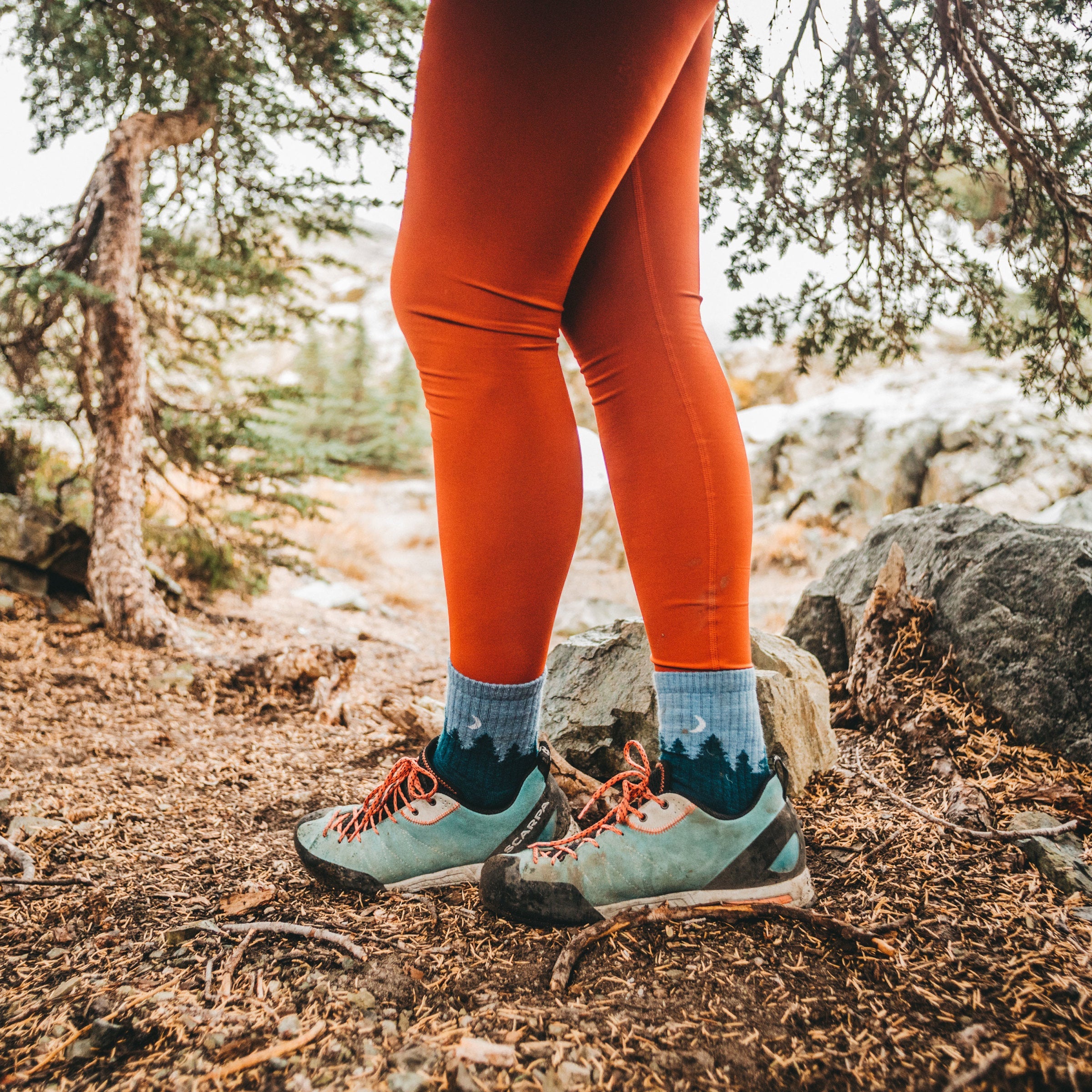 Darn Tough Merino Socks Women's Treeline Micro Crew Midweight Hiking Socks - Image 6