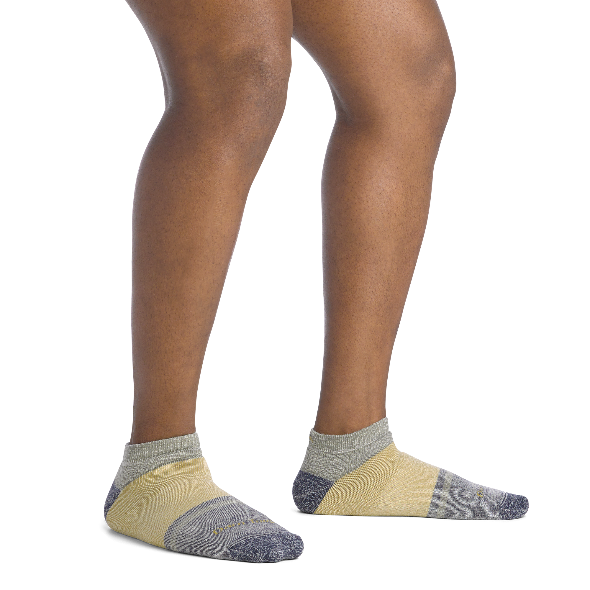 Darn Tough Merino Wool Men's and Women's Apres Heavyweight No Show 2-Pack - Image 6