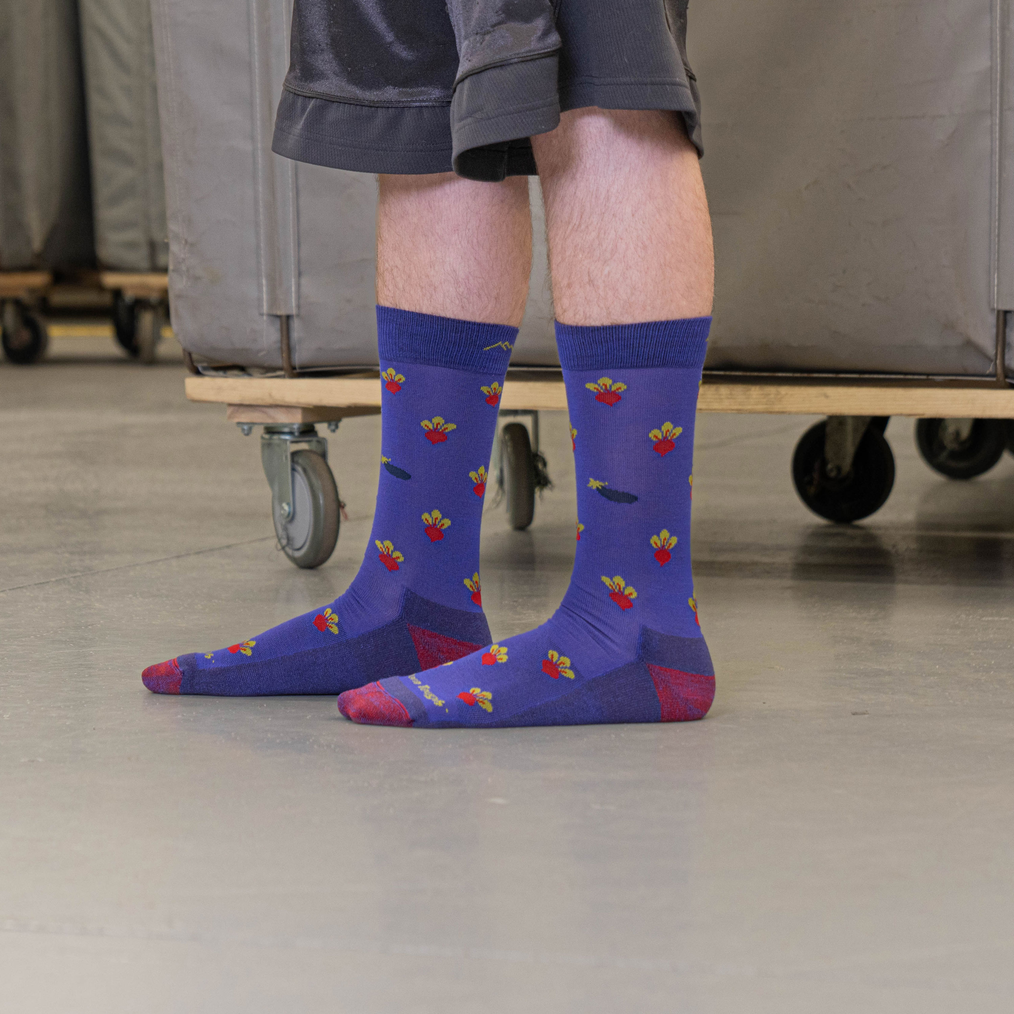Darn Tough Merino Wool Men's Beets Crew Lightweight Lifestyle Sock - Image 7