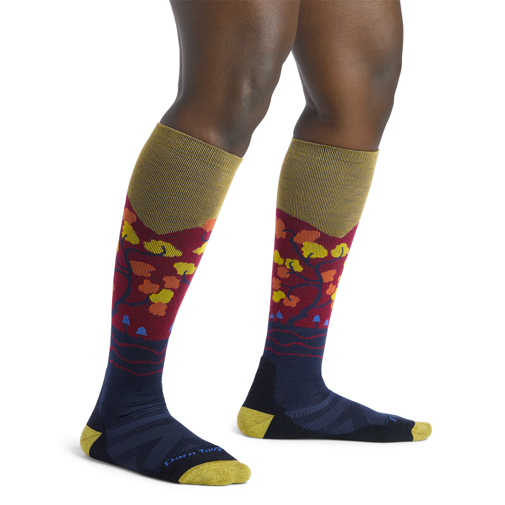 Darn Tough Merino Wool Women's Enchanted Over-the-Calf Midweight Ski & Snowboard Socks - Image 6